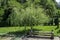 A beautiful bench under the shadow of a fresh weeping willow  in the  monastery place for relax, mountain Balkan, near Varshets to