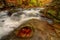 Beautiful Berea Falls In Autumn