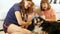 Beautiful Bernese mountain dog receives the pampering of its owners lying on the floor