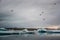 Beautiful big blue iceberg floating in Jokulsarlon glacial, Iceland in summer at dusk, reflecting in the water and birds