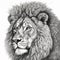 beautiful a big lion high contrast for laser engraving white background