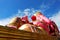 Beautiful Big Pink colors of Hindu god lord Ganesha in daylight with white cloud and blue sky background