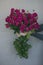 Beautiful big rustic mono bouquet of roses in female hands