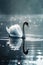 a beautiful big size swan swimming alone in a misty water, ai