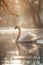 a beautiful big size swan swimming alone in a misty water, ai