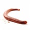 Beautiful big wild earthworm looking forward is shown in full length, Ai generated