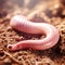 Beautiful big wild earthworm looking forward is shown in full length, Ai generated