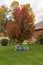 Beautiful bike leaning against a red autumn maple