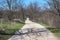 Beautiful bike and walk trail in the forest