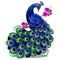 Beautiful bird peacock sitting on a perch with flowers isolated on white background. Vector cartoon close-up