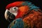 Beautiful Bird Scarlet Macaw Close Up. Colorful and Vibrant Bird.