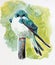 Beautiful bird sitting water color painting