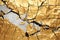 Beautiful black, gold and white Kintsugi background with copyspace. This is the Japanese art of fixing flaws and imperfections