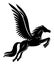 Beautiful black pegasus sign.