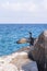 Beautiful black seabird sitting on bright rocks