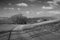 Beautiful black and white landscape image of farm and trees in W