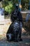 A beautiful black and white spaniel sits in a city park near a large bench.