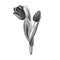 Beautiful black and white tulip bouquet. Isolated flowers. Marker drawing. Watercolor painting.
