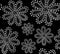 Beautiful black and white vector seamless pattern with ornamental figured flowers