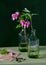 Beautiful bleeding heart flowers in vintage green glass vases.