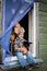 Beautiful blond boy sitting on window sill with two dogs and hold pumpkin