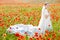 Beautiful blond bride in field with poppies