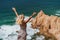 Beautiful blond female raising hands enjoying Praia da Ursa Beach. Surreal scenery of Sintra, Portugal. Atlantic Ocean