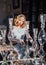 Beautiful blond girl with vintage make up and hairstyle sitting near table with sunny rays on face and jewelry decoration on head