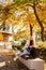 a beautiful blonde in a coat and jeans on the bench in an autumn park.