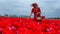 Beautiful blonde girl in red dress and white straw hat with wicker basket on colorful tulip fields.