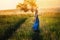 A beautiful blonde woman in a blue dress walks along the field at sunset. The concept of beauty, free life and