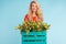 Beautiful blonde woman gardener holding box with tulips on blue background with