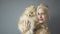 Beautiful Blonde Woman With Her Spitz Isolated On Grey