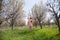 Beautiful blonde woman in pink dress on the road in the garden