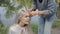 Beautiful blonde woman prepares for photoshoot in forest near lake.