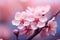 Beautiful blooming branch with pink flowers on blurred background, closeup, cherry blossom macro close up with shallow depth of