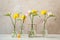 Beautiful blooming freesias in glass vases on table against grey background