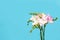 Beautiful blooming freesias on light blue background.