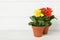 Beautiful blooming gerbera plants in flower pots on white wooden table, space for text