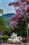 A beautiful blooming Guayacan and the iconic Hill of the Three Crosses, two symbols of the Cali city