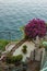 Beautiful blooming Italian courtyard at a seaside villa