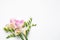 Beautiful blooming pink freesias on background, top view. Space for text