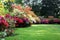 Beautiful blooming rhododendron in the garden