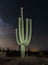 Beautiful blooming saguaro in Arizona under the milky way