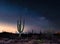 Beautiful blooming saguaro in Arizona under the milky way