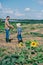 beautiful blooming sunflowers and father with son working