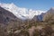 Beautiful blossom in Hunza valley in spring season, Gilgit Baltistan, Pakistan