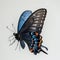 Beautiful blue butterfly close-up portrait, white background