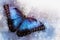 A beautiful blue butterfly painted with watercolor. Spring time illustration