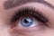 beautiful blue eyes close -up, eyelash extensions.
